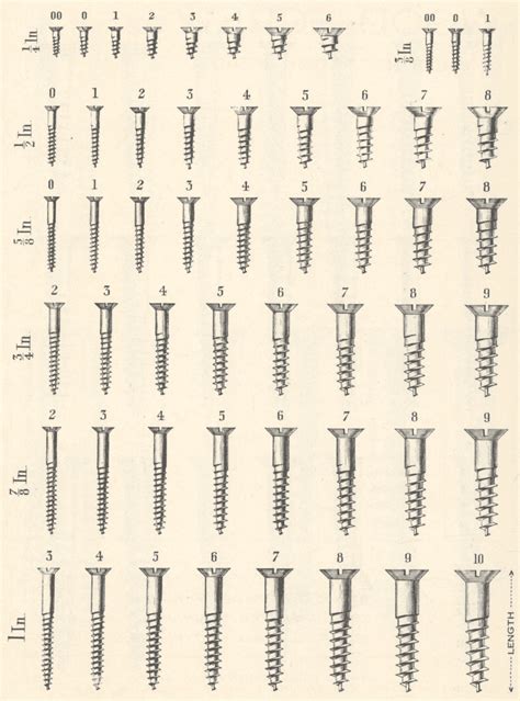 screw measurement guide